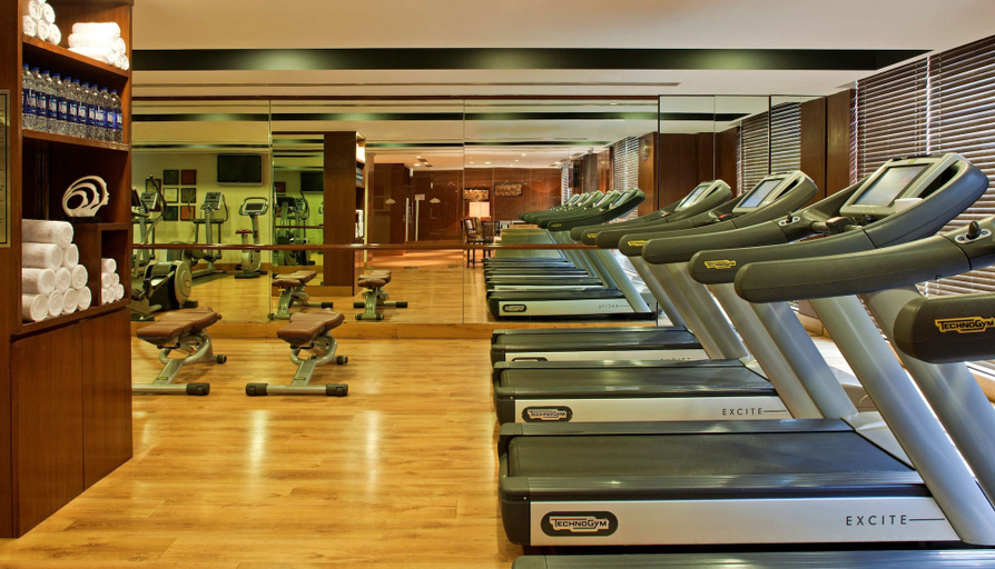 Others 2, Radisson Blu Plaza Delhi Airport, Delhi
