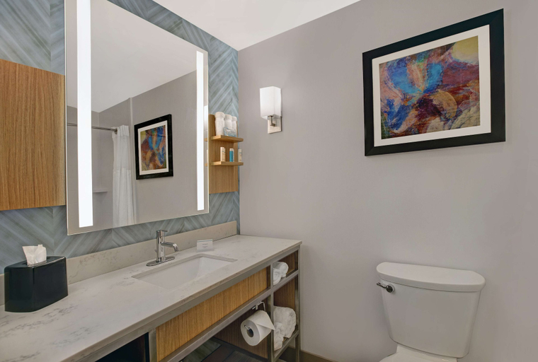 Bathroom 4, Hilton Garden Inn Memphis/Southaven, MS, Desoto