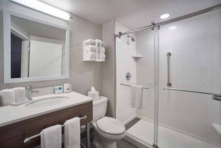 Bathroom 4, Hampton Inn by Hilton Harrisburg West, Cumberland