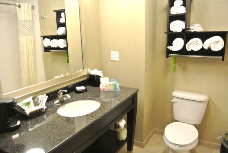 Bathroom 5, Hampton Inn Carrizo Springs, Dimmit