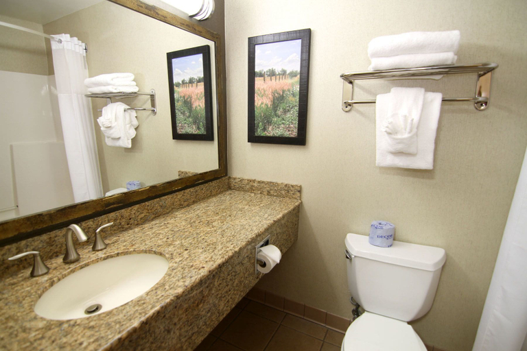 Bathroom 4, C'mon Inn Fargo, Cass