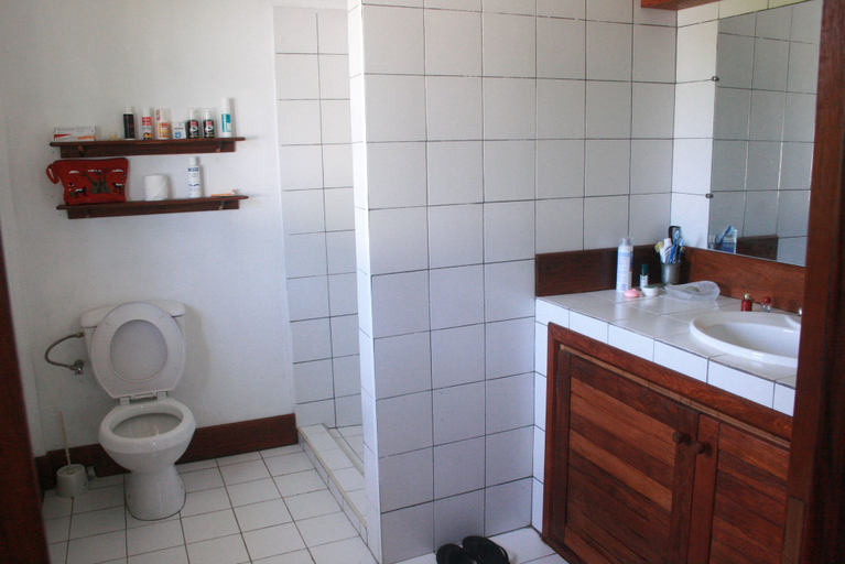 Bathroom, Chez Paul Ambodiatafana, Sofia