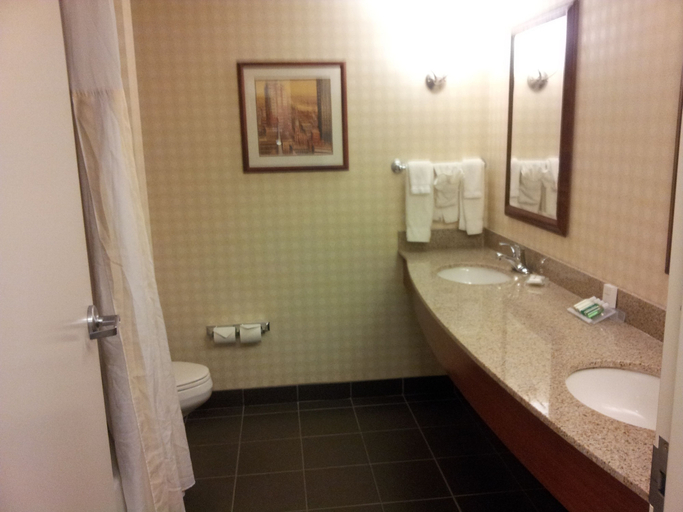 Bathroom 4, Hilton Garden Inn Manchester Downtown, Hillsborough
