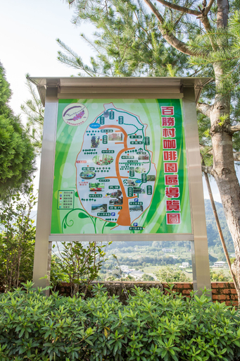 Others 5, Baishengcun Coffee Farm, Nantou