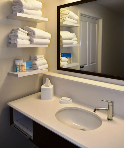 Bathroom 5, Hampton Inn & Suites Bethlehem, Northampton