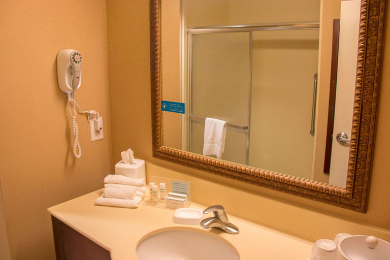 Bathroom 4, Hampton Inn Murphy, Cherokee