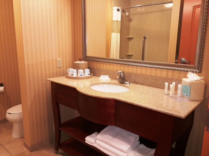 Bathroom 5, Hampton Inn & Suites Albuquerque-Coors Road, Bernalillo