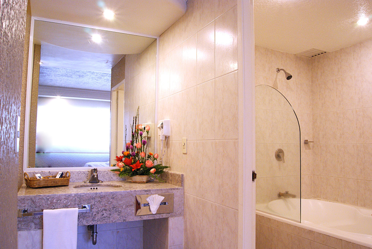 Bathroom 5, Quinto Sol, Temascalapa