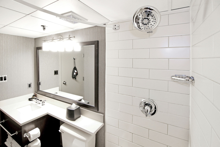 Bathroom 4, Best Western Plus Banff International Lodge, Division No. 15