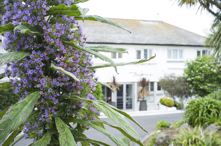 Exterior & Views 2, Boskerris Hotel, Cornwall