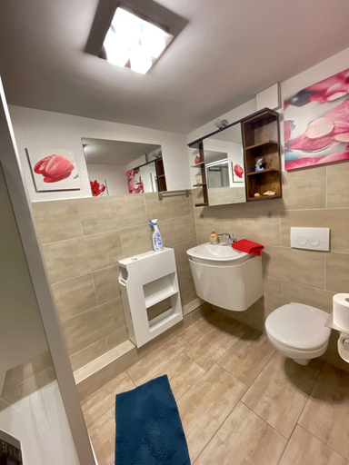 Bathroom 3, Ferienwohnung Romance, Meißen