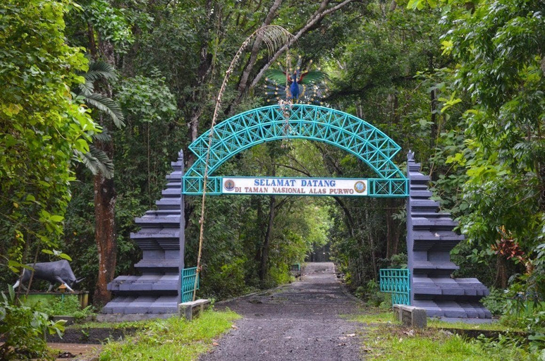 Others 5, Osingvacation, Banyuwangi