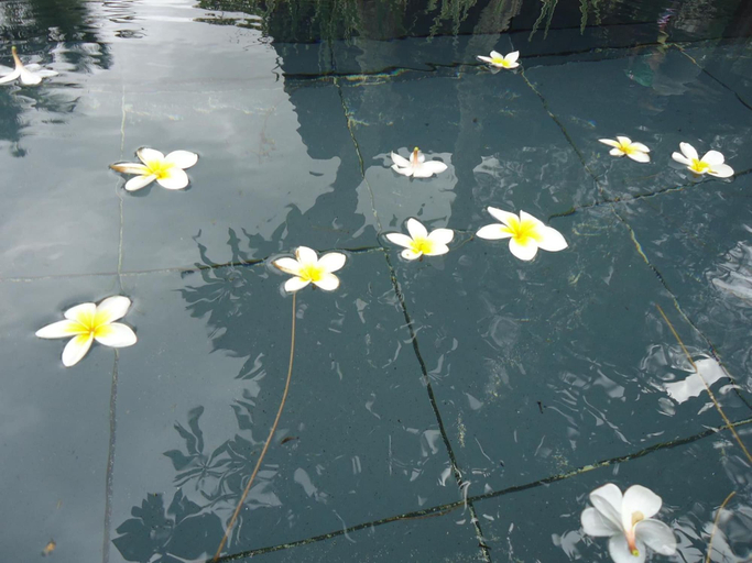 Sport & Beauty 4, Hotel Krishna, Dadra and Nagar Haveli