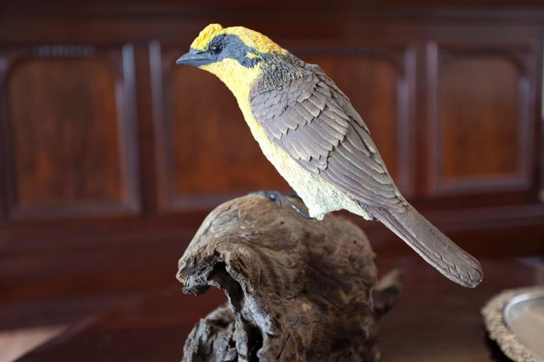 Food & Drinks, Honeyeater Cottage, Yarra Ranges - Central