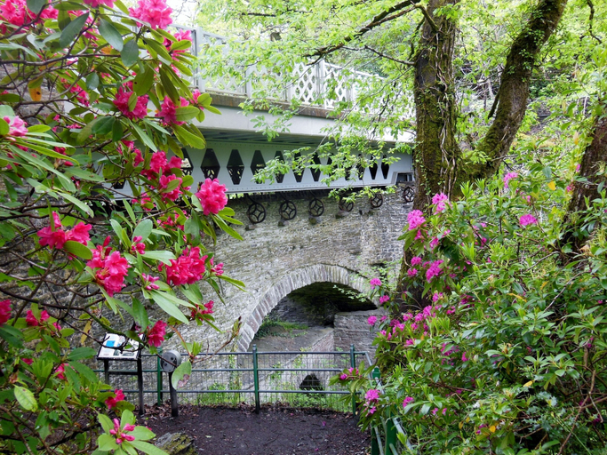 Others 5, Broncoedwig Devil's Bridge, Ceredigion