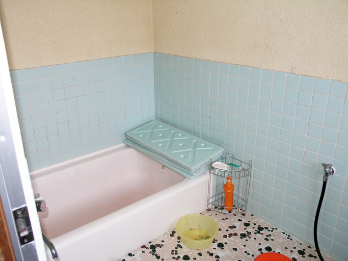Bathroom 2, Showa Minshuku Ryujinsou, Iwami