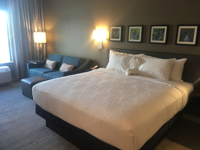 Bedroom 3, Hilton Garden Inn Austin Airport, Travis