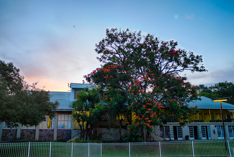 Exterior & Views, Near2Numbi, Ehlanzeni