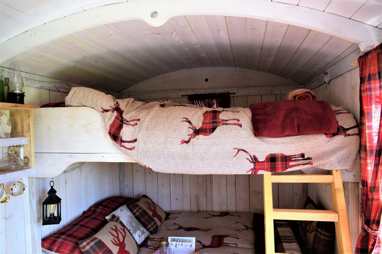 Bedroom 3, Meadow Shepherds hut, Powys