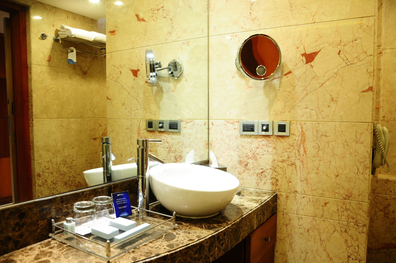 Bathroom 5, Radisson Blu Plaza Delhi Airport, Delhi