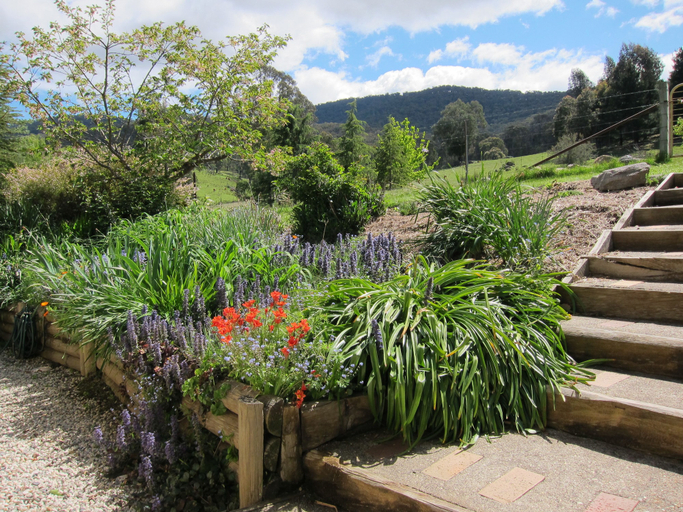 Others 5, Edelweiss Cottage B&B, Alpine - East