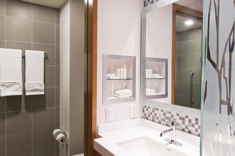 Bathroom 4, Hampton Inn & Suites by Hilton Paraiso, Paraíso