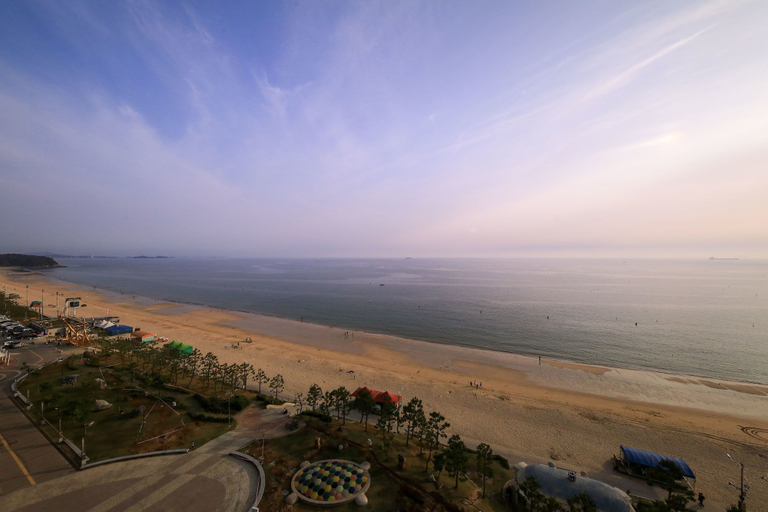 Others 5, Hotel Merrymud, Boryeong