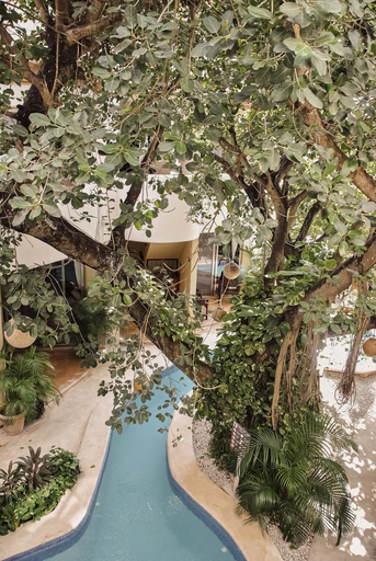 Sport & Beauty 5, Boutique Hotel Posada 06 Tulum, Cozumel