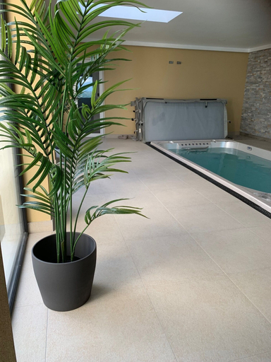 Sport & Beauty 4, The Wylies, Lisburn and Castlereagh