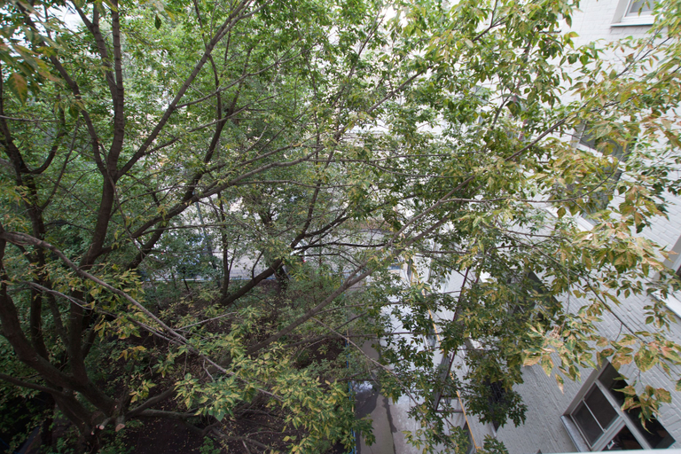 Exterior & Views, TVST Apartments Kamergerskiy Pereulok, Central