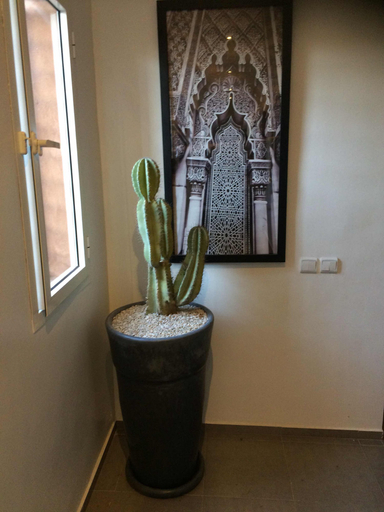 Others 5, Villa Cactus, Marrakech