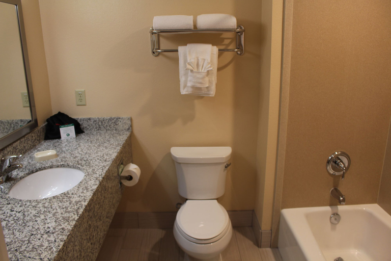 Bathroom 4, Wyndham Garden Lancaster CA, Los Angeles
