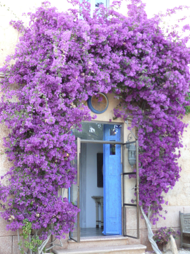 Exterior & Views 2, Villa Station Las Salinas, Baleares