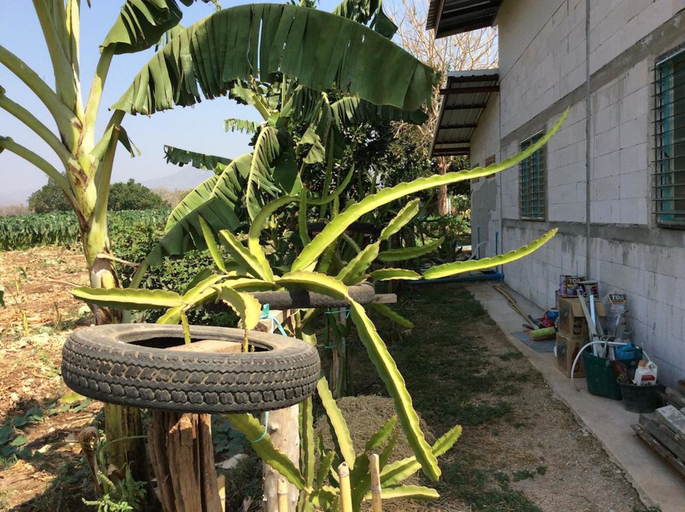 Others 5, Chaleena Homestay, Muang Kanchanaburi
