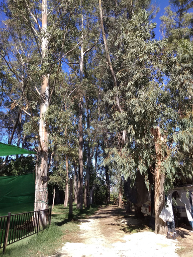 Others 5, Camping la Naranja, Valencia