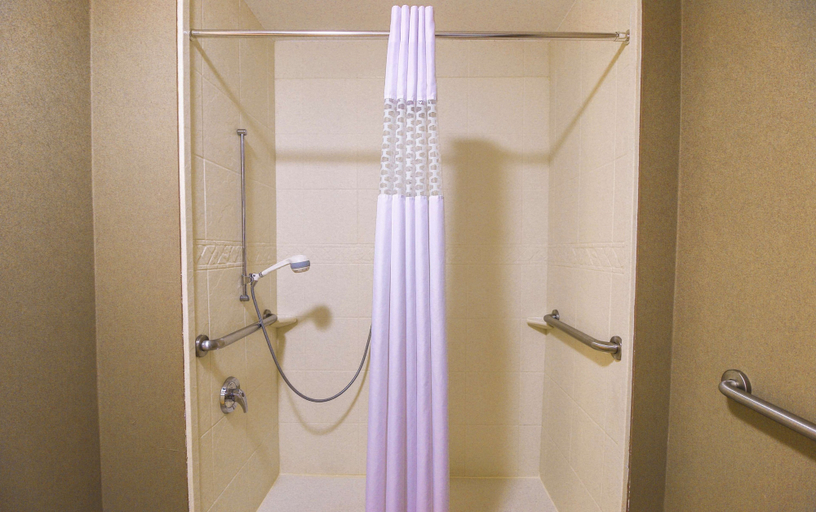 Bathroom 4, Hampton Inn & Suites by Hilton Flowery Branch Lake Lanier, Hall