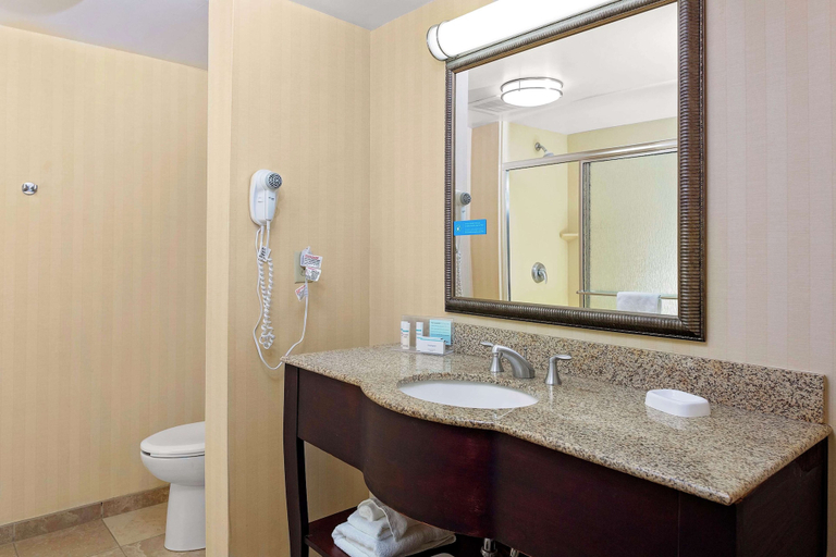 Bathroom 4, Hampton Inn Atlanta Fairburn, Fulton