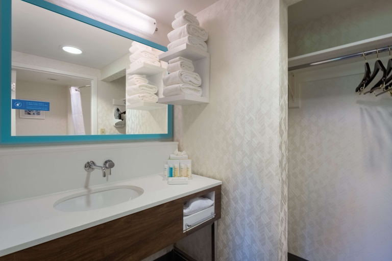 Bathroom 4, Hampton Inn & Suites Herndon-Reston, Fairfax