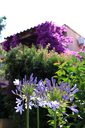 Exterior & Views, Residence Benista, Haute-Corse