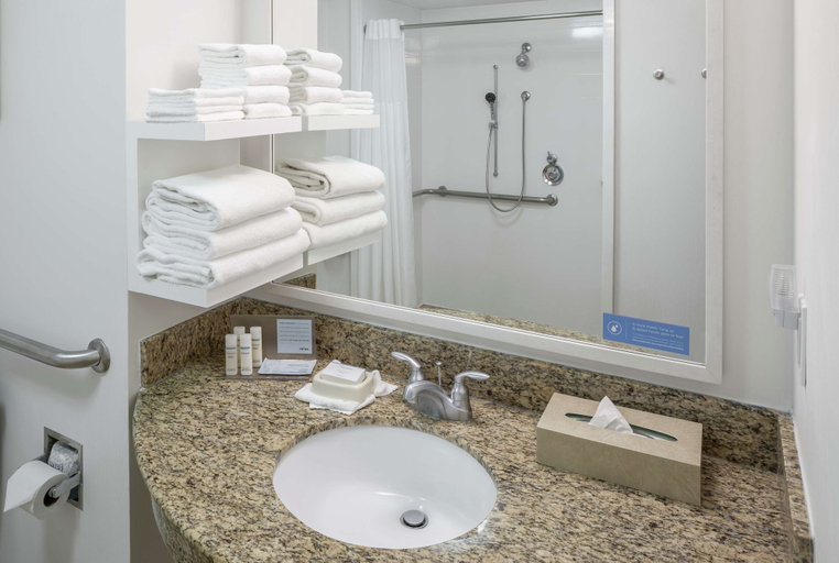 Bathroom 4, Hampton Inn Austin-Round Rock, Williamson