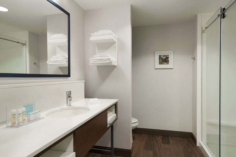 Bathroom 4, Hampton Inn & Suites Ephrata - Mountain Springs, Lancaster