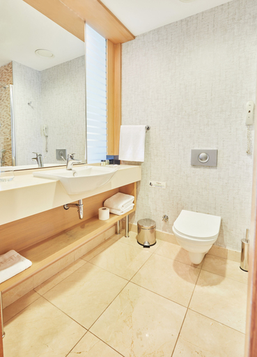 Bathroom 5, Park Dedeman Denizli, Merkez