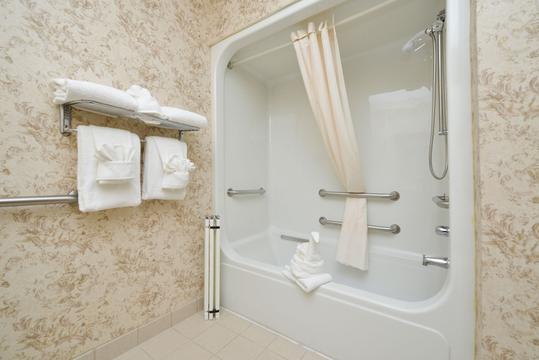 Bathroom 4, Comfort Suites Myrtle Beach Central, Horry