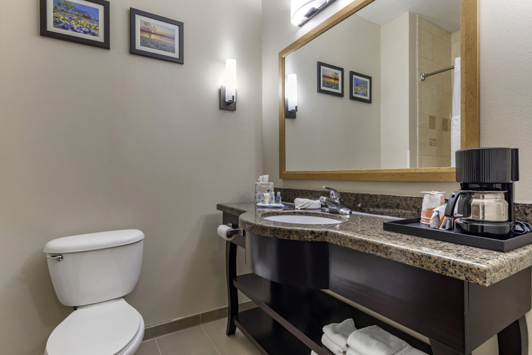 Bathroom 4, Country Inn & Suites by Radisson, West Valley City, UT, Salt Lake