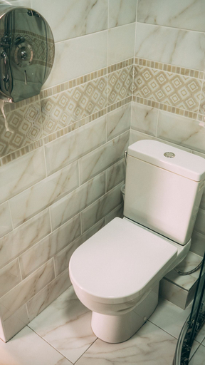 Bathroom 2, Montana, Tomskiy rayon
