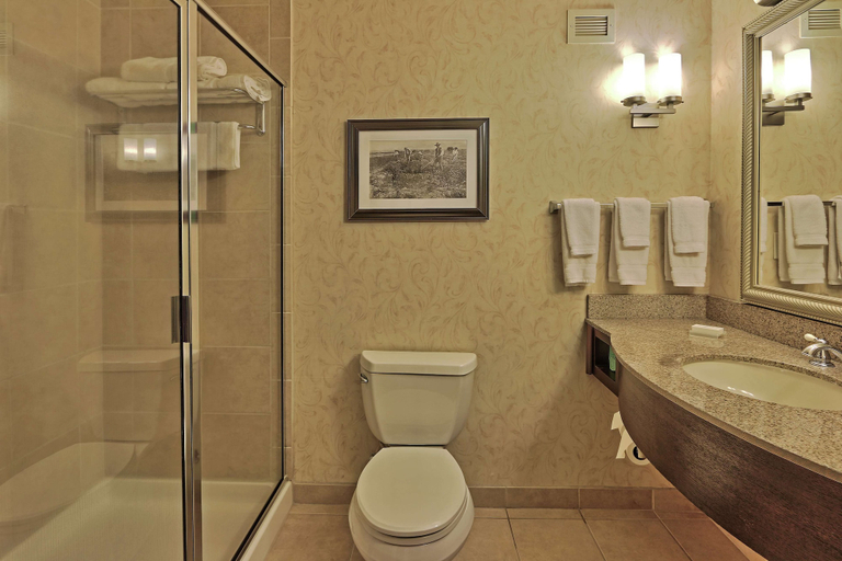 Bathroom 4, Hilton Garden Inn Las Cruces, Dona Ana