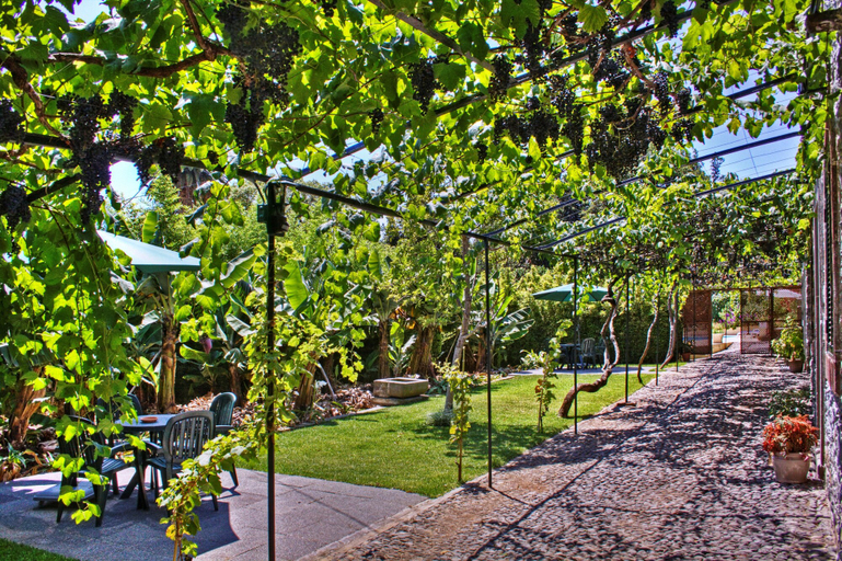 Others 5, Casa das Vinhas, Funchal