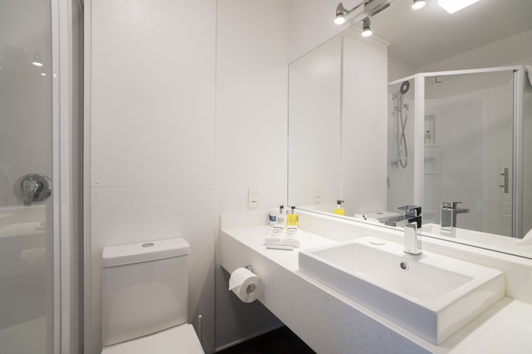 Bathroom 5, The Ashley Hotel, Grey