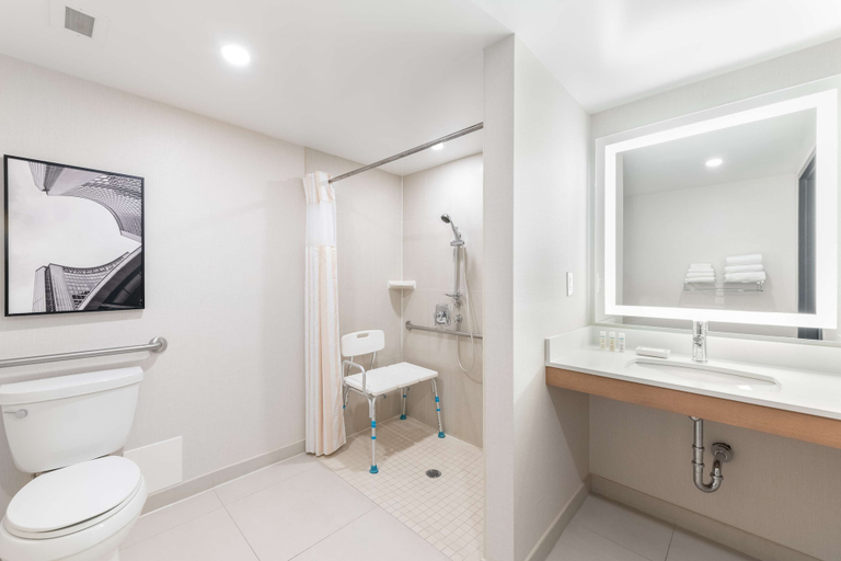Bathroom 5, Hilton Garden Inn Toronto Airport, Peel