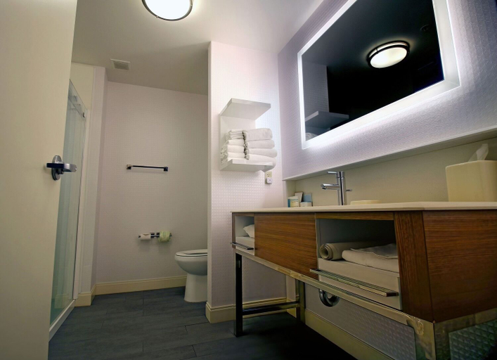 Bathroom 4, Hampton Inn & Suites Tacoma, Pierce